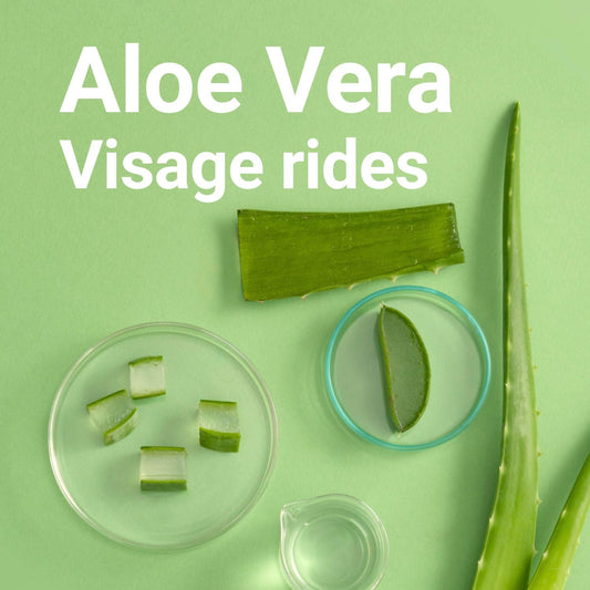 Soin à l’Aloe Vera : Bienfaits, Utilisations et Conseils pour une Beauté Naturelle et Apaisée