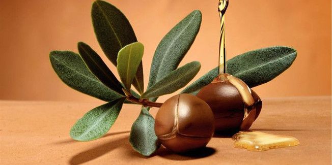 Premièrement, Extraite des noix de l’arganier, elle est riche en vitamine E, acides gras essentiels et antioxydants, 