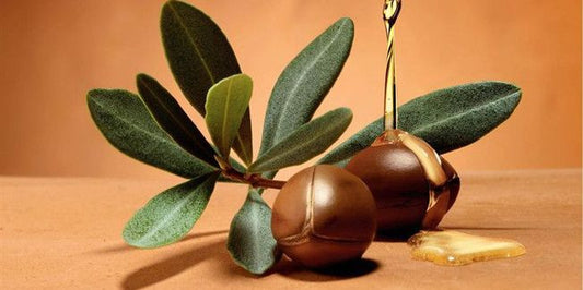 Premièrement, Extraite des noix de l’arganier, elle est riche en vitamine E, acides gras essentiels et antioxydants, 