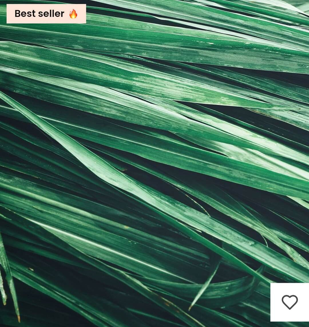 Premièrement : Les parfums Chogan homme offrent une combinaison parfaite d’élégance raffinée et de séduction intemporelle.