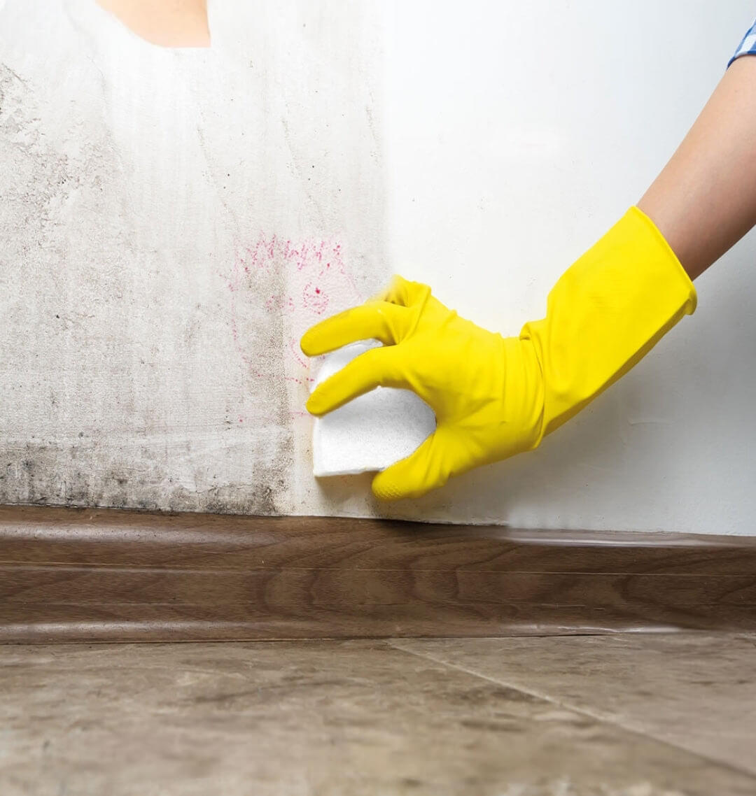 Premièrement, Les produits Brihome Chogan allient efficacité exceptionnelle et respect de l'environnement.